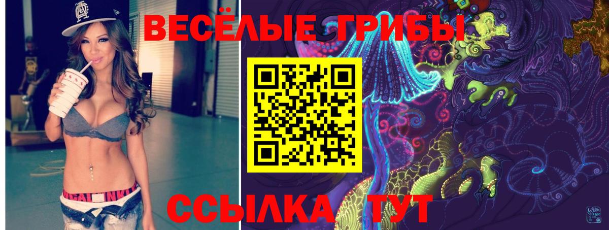Галлюциногенные грибы Psilocybine cubensis Рыбинск